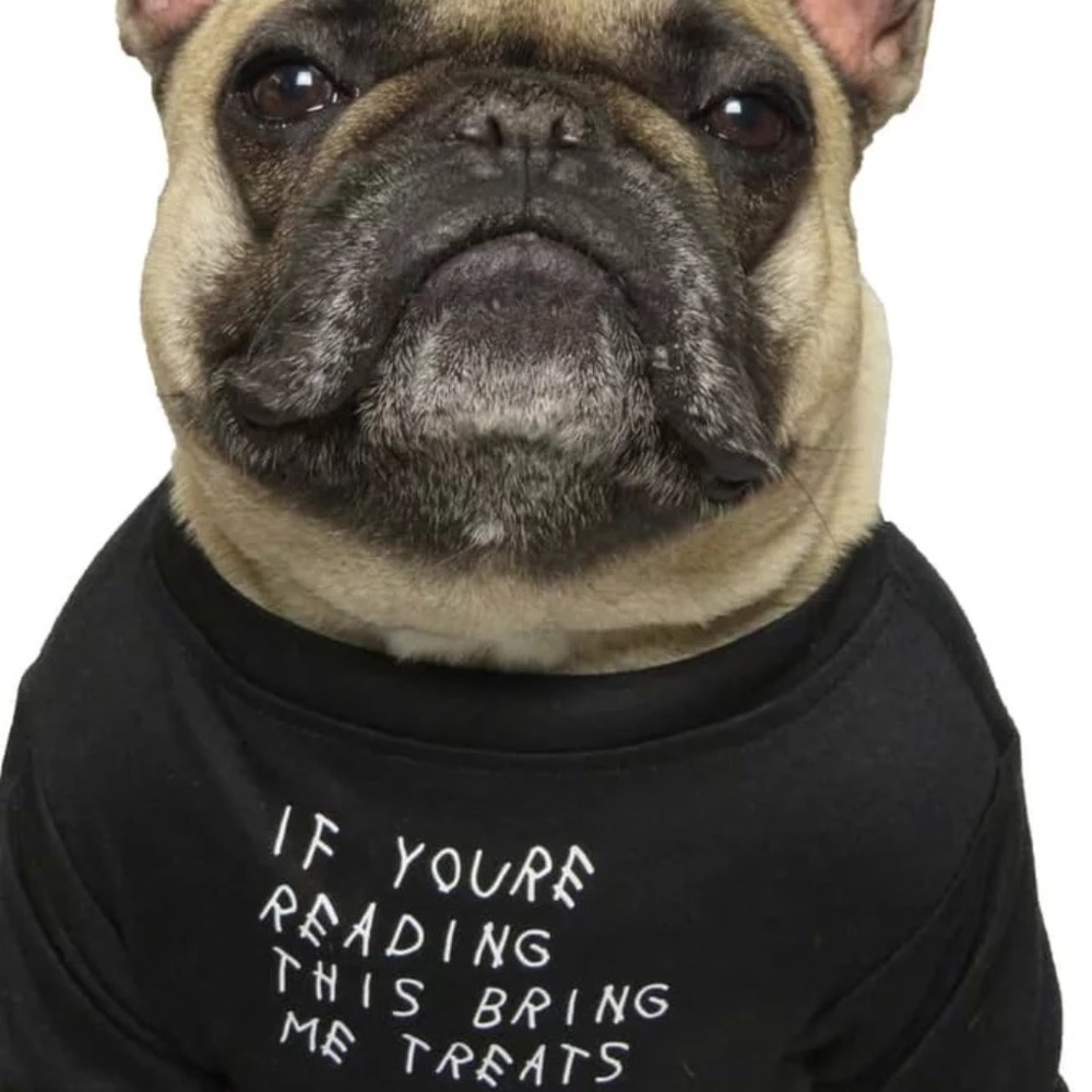 Pawmain Pets "If You're Reading This" Double Sided T-Shirt - XL and M